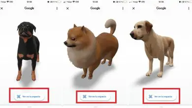Photo of Come vedere un cane 3D a casa con Google
