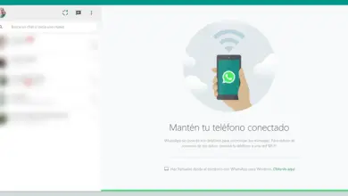Photo of Come collegare WhatsApp Web su Android