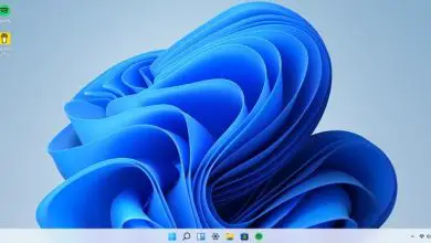 Photo of Come utilizzare Windows 11 dal browser (senza installare nulla)
