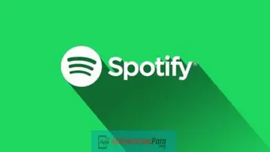 Photo of Dove viene memorizzata Spotify Music?