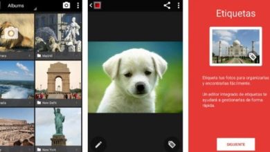 Photo of Le migliori app di galleria fotografica per Android