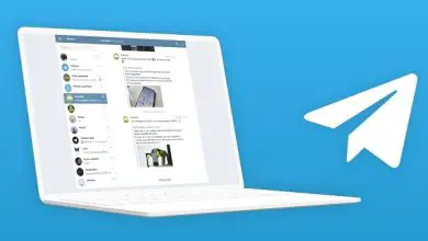 Photo of Telegram per PC: come scaricare e utilizzare Telegram dal computer