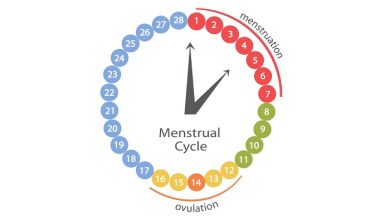 Photo of 8 migliori app per il controllo dell’ovulazione