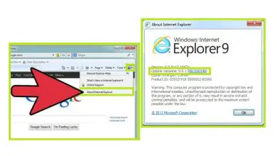 Photo of Come scaricare e aggiornare Internet Explorer 10 all’ultima versione