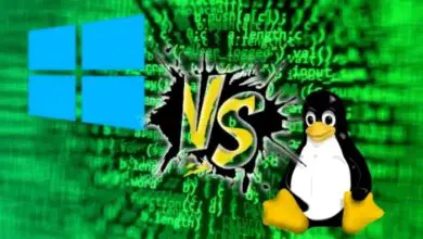 Photo of Quali sono le differenze tra Windows e Linux e quale è meglio