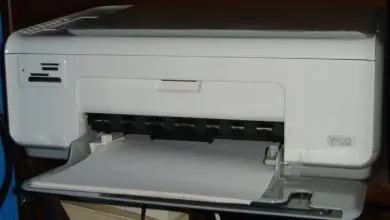 Photo of Impossibile stampare da Word: stampa documenti senza errori!