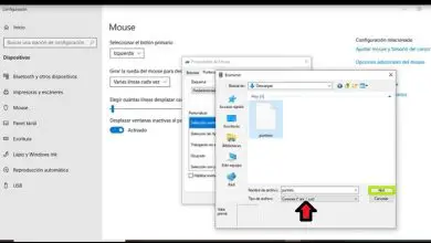 Photo of Puntatori per Windows 10: scarica e installa cursori personalizzati