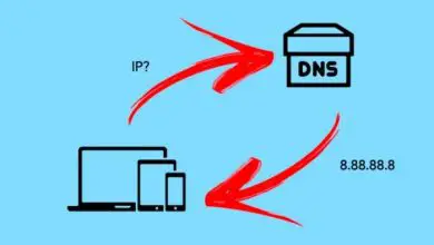Photo of Che cos’è il DNS nell’informatica: come cambiarli e quali sono i migliori!