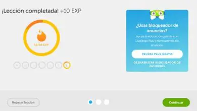 Photo of Crea un account Duolingo