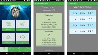 Photo of 10 migliori app di pesca | App per Android