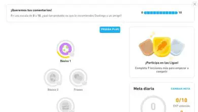 Photo of Accedi al mio account Duolingo